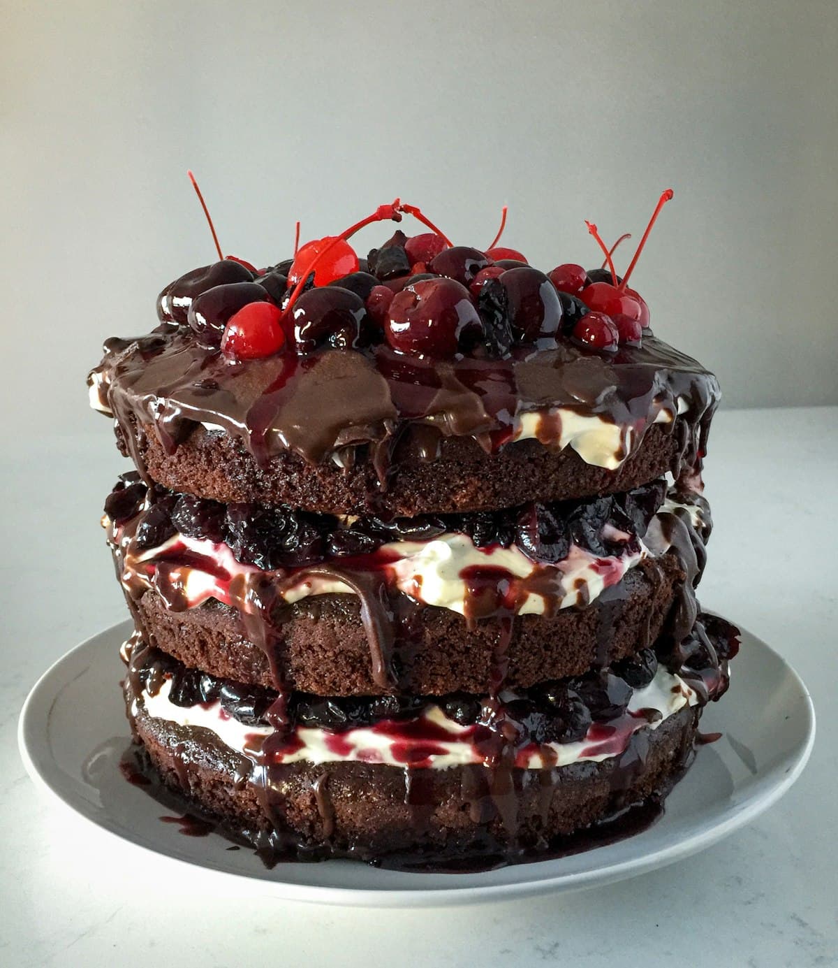 Classic Favourites — Sweet Canvas Kolkata
